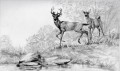 deer by stream pencil black and white